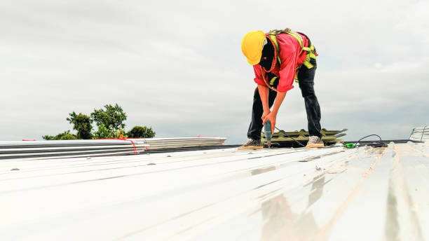Best Roof Insulation Installation  in Fort Wayne, IN