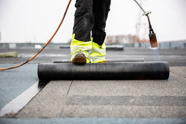 Best Asphalt Shingles Roofing  in Fort Wayne, IN